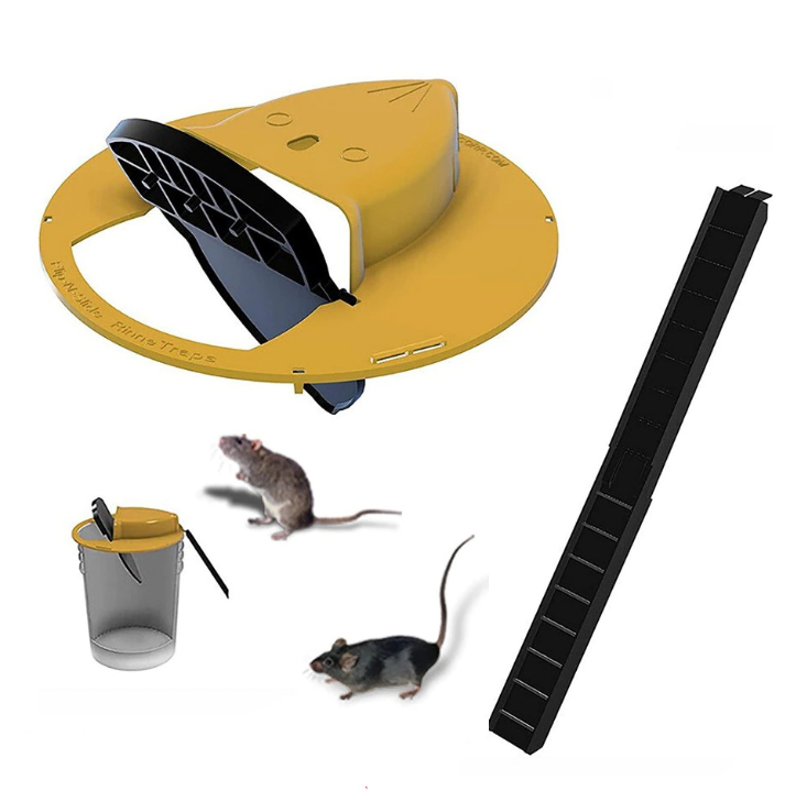 Creativity Mice Trap